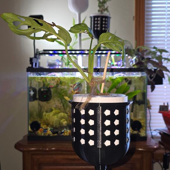 Aquaponic Aquarium Wicking Planter Pot Black White Self Watering Fish Tank Decor - Picture 1 of 16